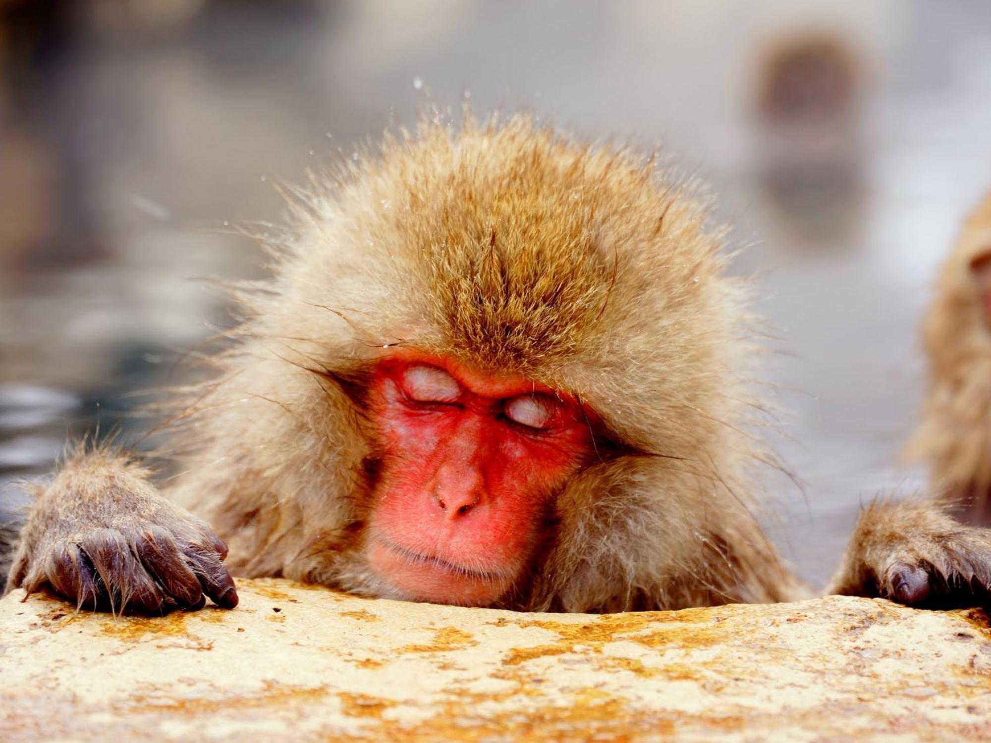 Kidoike Onsen Hotel Yamanouchi  Zewnętrze zdjęcie