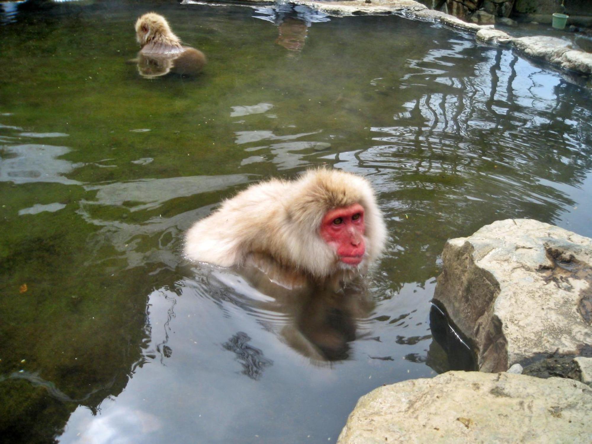 Kidoike Onsen Hotel Yamanouchi  Zewnętrze zdjęcie
