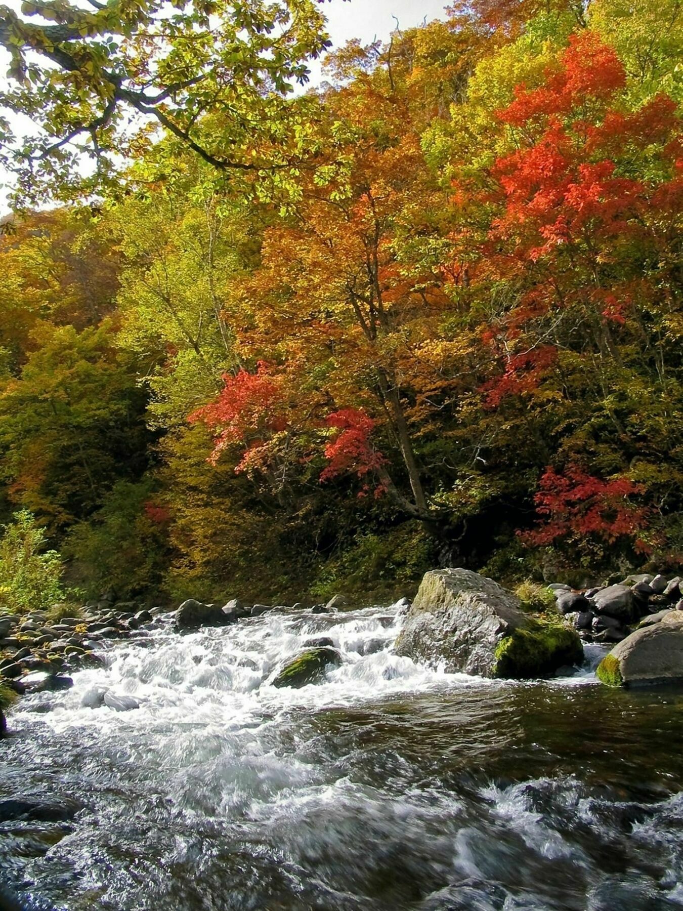 Kidoike Onsen Hotel Yamanouchi  Zewnętrze zdjęcie
